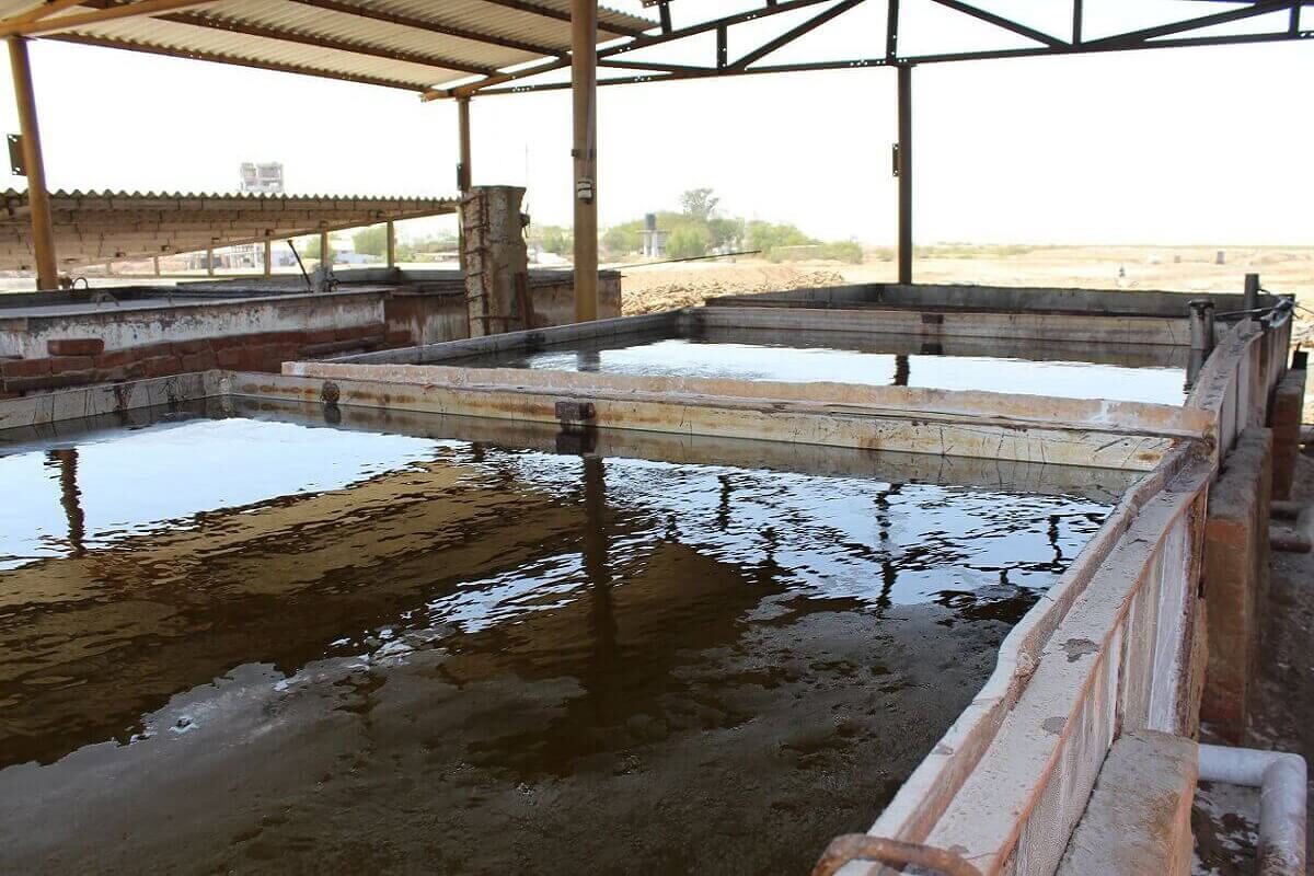 Paper Industry